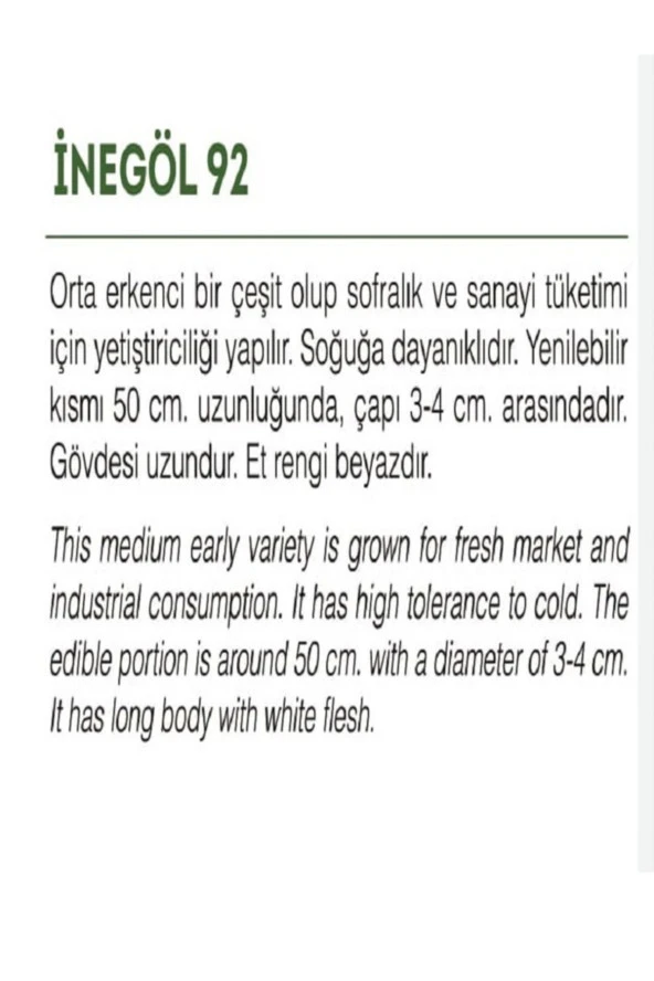 AGRODAL TARIM Ata Tohumu Yerli Doğal Pırasa Inegöl 1000 Adet Tohum - Resim 2