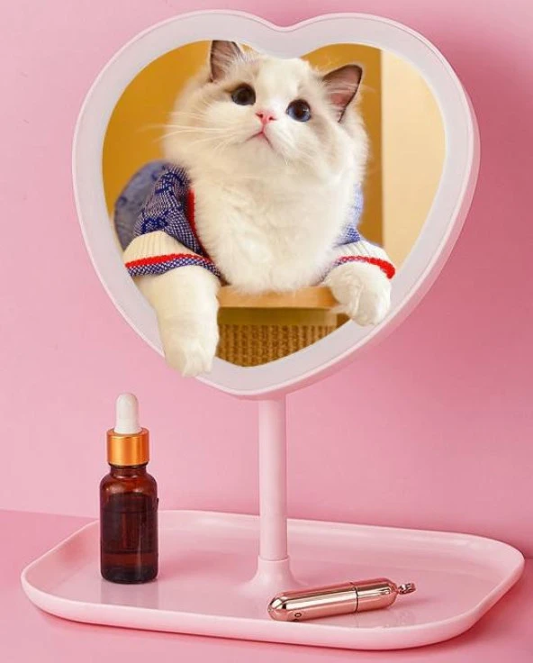 Valkyrie Kalp Şeklinde LED Işıklı Şarjlı Makyaj Aynası - 3 Farklı Işık Rengi - Dokunmatik Touch Ekran - Şarjlı ve Kontrast Ayarlı - Büyük Boy - 6