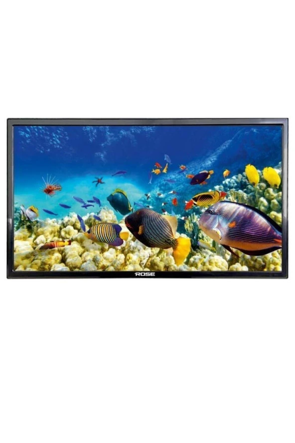 Rose CM-122 22" 55 Ekran Full HD LED Monitör Hoparlörlü TV (12V Girişli) - 2
