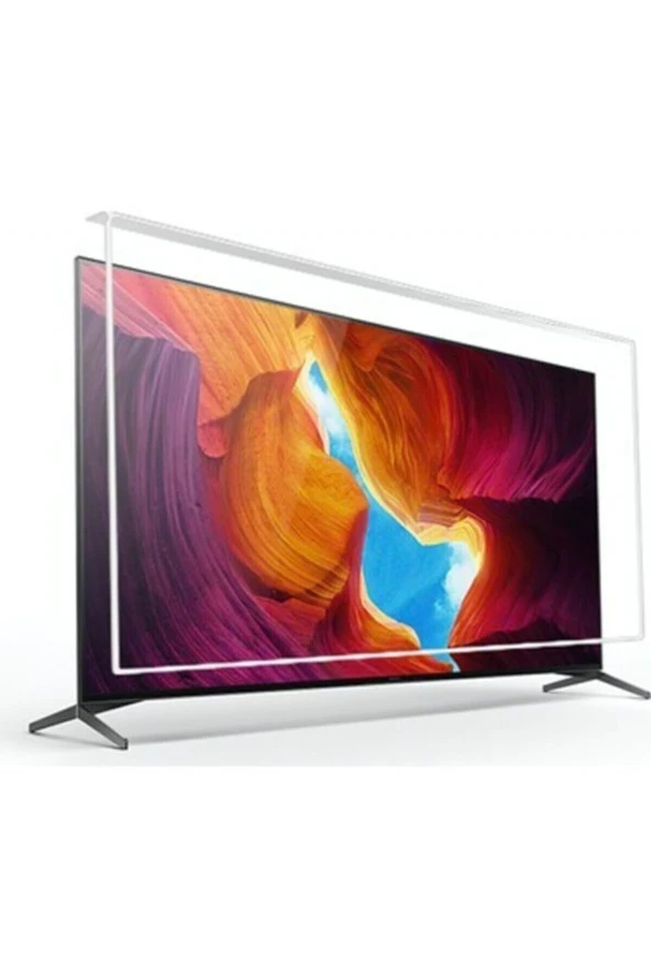 Goldscreen 49sm8200 49" 123 Cm Tv Ekran Koruyucu - 1