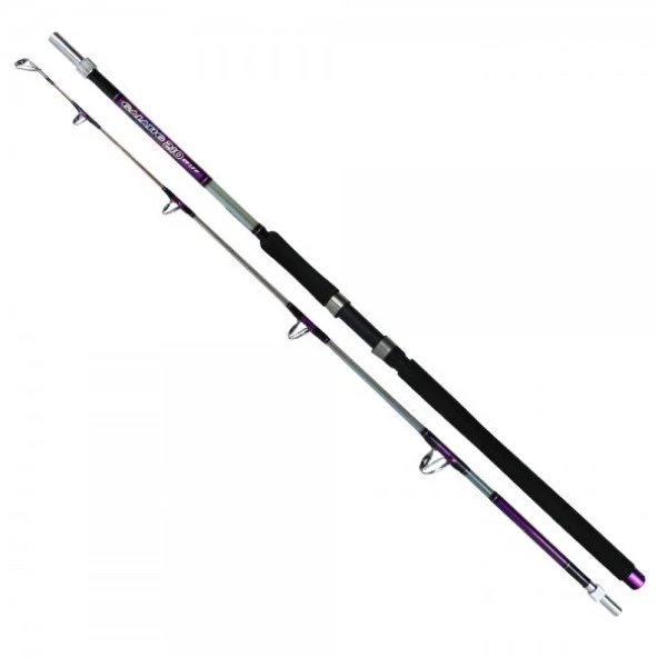 Effe Galatıc 1.65 m 2 Parça 150-300 G Atarlı Silikon Dolgu Olta Kamışı
