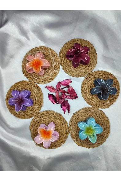 Orta Boy 6'lı Rengarenk Lotus Çiçeği Mandal Toka 6 Cm - 2