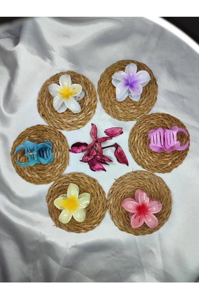 Orta Boy 6'lı Rengarenk Lotus Çiçeği Mandal Toka 6 Cm - 8