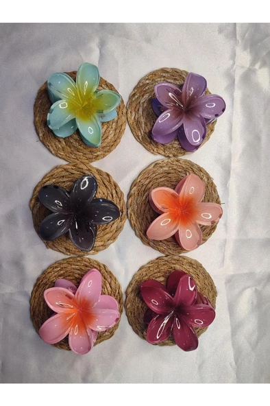 Orta Boy 6'lı Rengarenk Lotus Çiçeği Mandal Toka 6 Cm