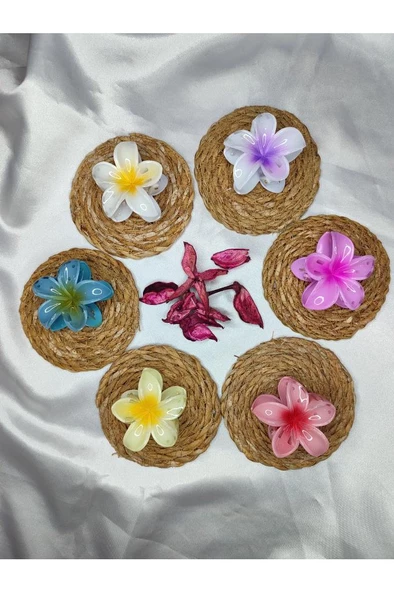 Orta Boy 6'lı Rengarenk Lotus Çiçeği Mandal Toka 6 Cm - 6