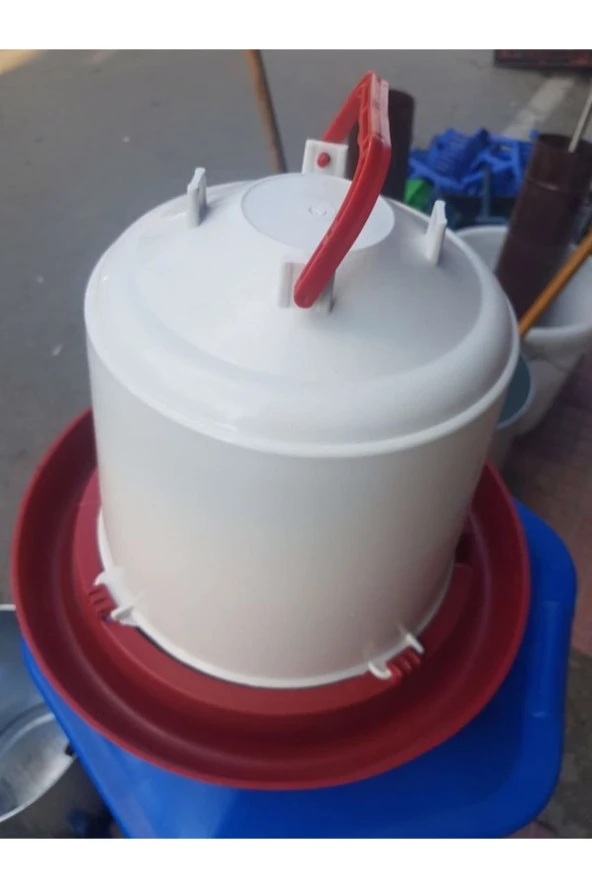 Tavuk Suluk 8 Litre 10 Adet Gönderim - 2