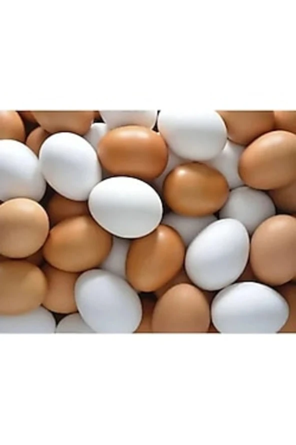 Sahte Yumurta 30 Adet Plastik Karışık renk - 2