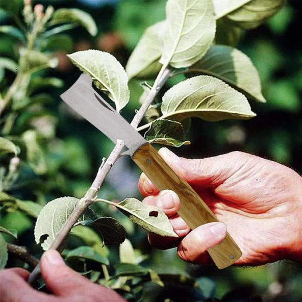 Ahşap Saplı Bıçak Düz Çakı Aşı Bıçağı Profesyonel Çelik Tepeli Uçlu Bağ Ağaç Budama Aşı Çakısı 180 mm - 4