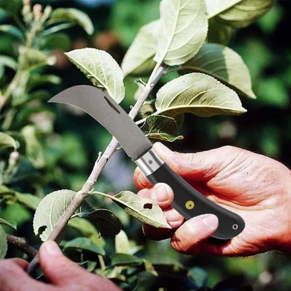 Ergonomik Plastik Saplı Bıçak Çakı Aşı Bıçağı Profesyonel Çelik Eğri Uçlu Bağ Ağaç Budama Aşı Çakısı 220 mm - 3