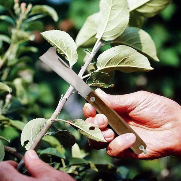 Ahşap Saplı Bıçak Çakı Aşı Bıçağı Profesyonel Çelik Tepeli Uçlu Bağ Ağaç Budama Çentikli Aşı Çakısı 190 mm - 3