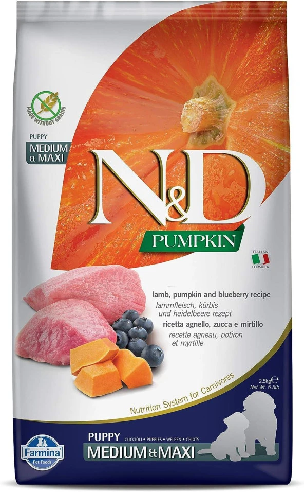 N&D PUMPKIN TAHILSIZ KÖPEK  KUZU & YABANMERSİNİ PUPPY MEDIUM & MAXI 2.5KG