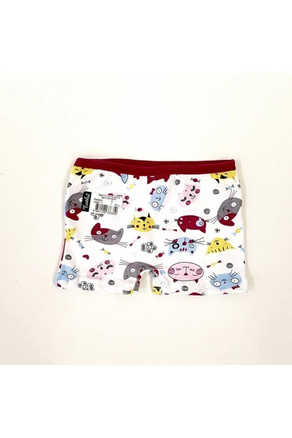 Kız Çocuk 6lı Renkli Desenli Boxer - 6
