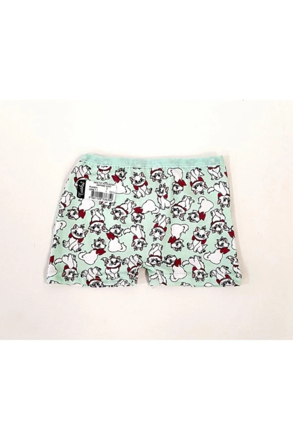 Kız Çocuk 6lı Renkli Desenli Boxer - 7
