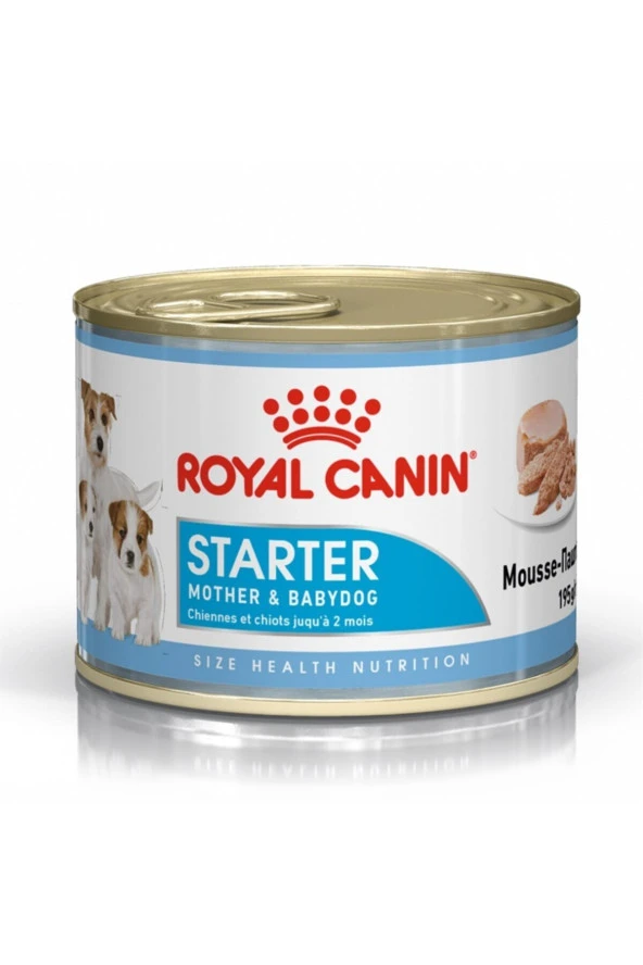 Starter Mousse Anne Ve Yavru Köpek Konserve Maması 195gr