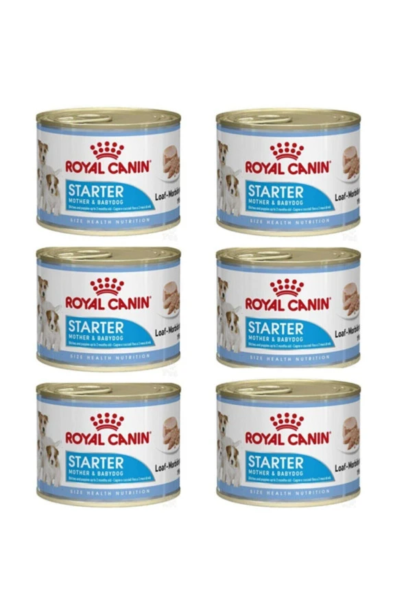 Royal Canın Starter Yavru Köpek Konserve Maması 6 Adet X 195 Gr