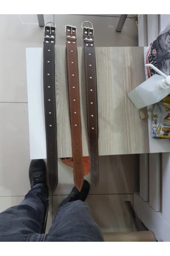 Köpek Boyun Tasması Deri ürün görseli