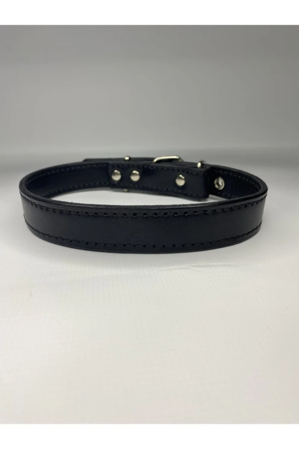 Köpek Deri Boyun Tasması ürün görseli