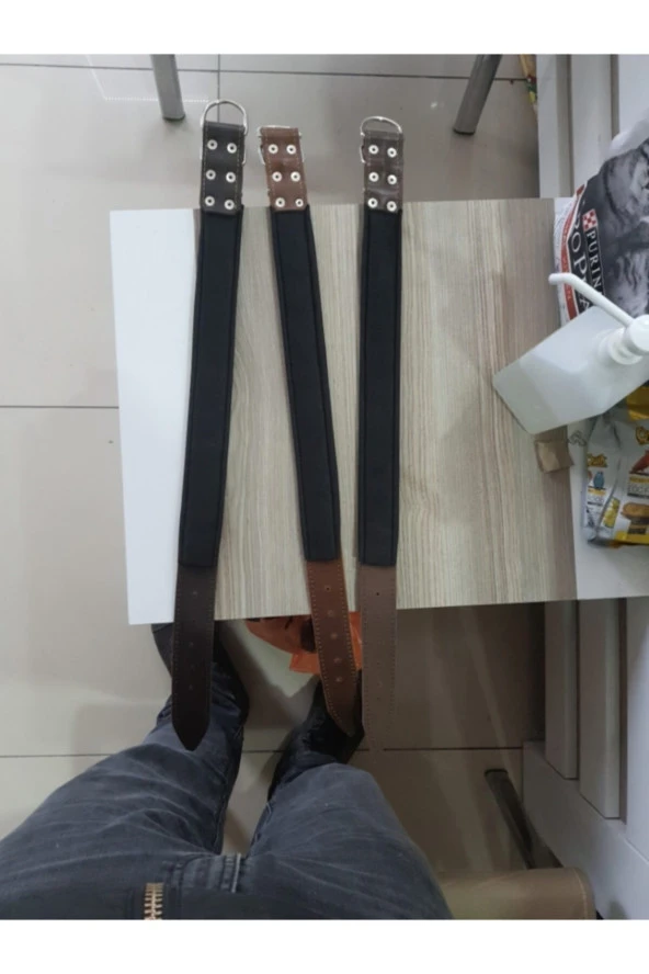 Köpek Boyun Tasması Deri - Resim 2