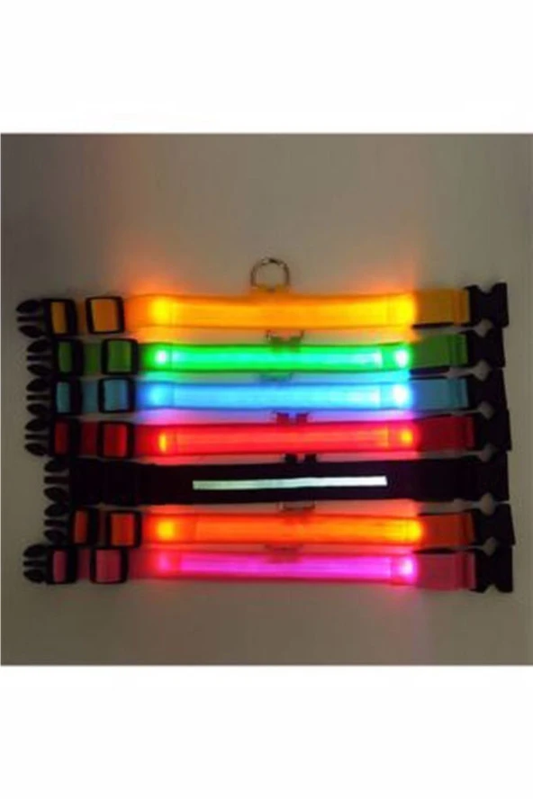 Kedi Köpek Led Işıklı Boyun Tasması, Ayarlanabilir Boyun Tasması - 4
