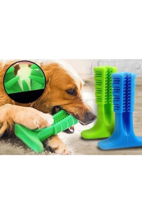 Köpek Diş Fırçası Isırma Aparatı Diş Kaşıma Oyuncağı Küçük Boy - 5