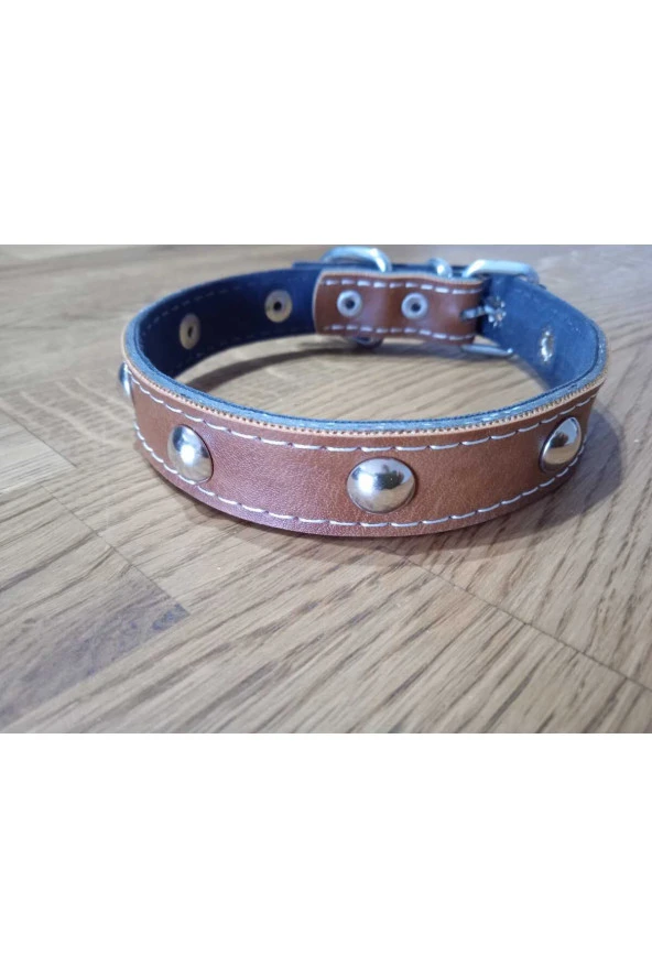 Aksesuarlı Metal Detaylı Deri Kedi Köpek Tasması