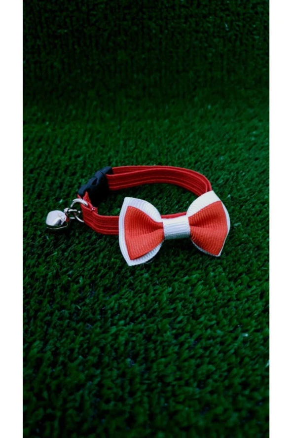 Volmin Petshop Papyonlu Boyun Tasma - 4