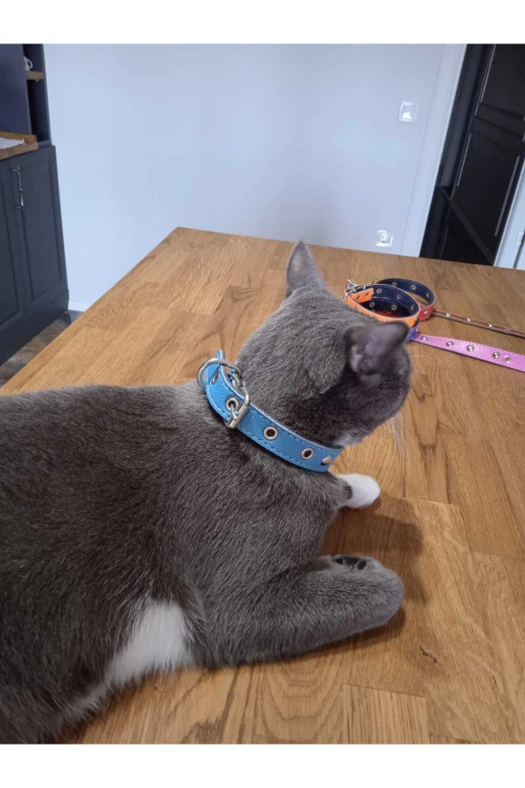 Aksesuarlı Metal Detaylı Deri Kedi Köpek Tasması - 3