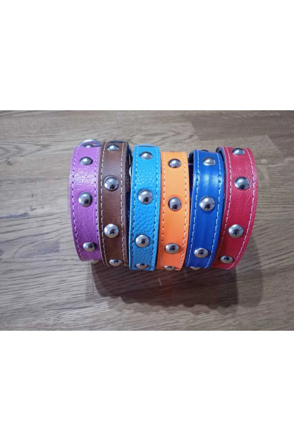 Aksesuarlı Metal Detaylı Deri Kedi Köpek Tasması - 4
