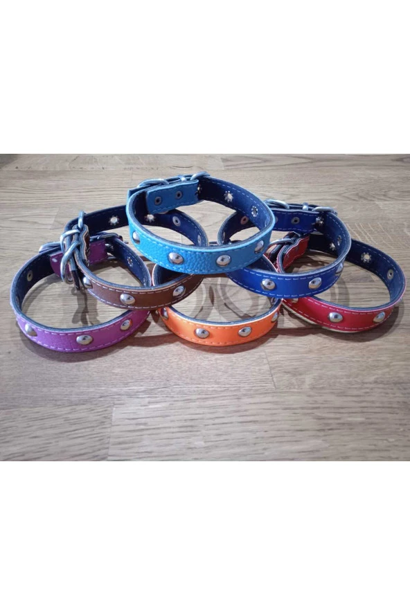 Aksesuarlı Metal Detaylı Deri Kedi Köpek Tasması - 5