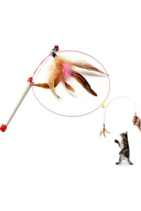 Kedi Oltası Kedi Oyuncak - 2