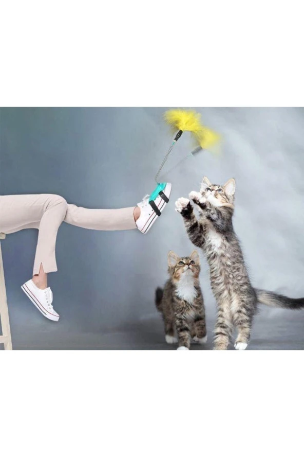 Kedi Oyuncagı Ayak Oltası