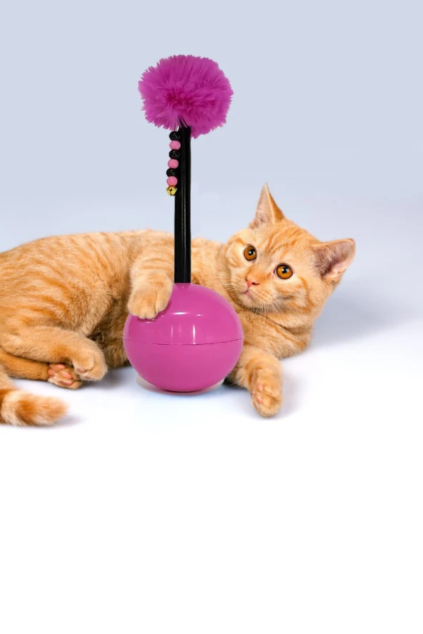 Hacıyatmaz Kedi Oyuncağı - Pembe - 2