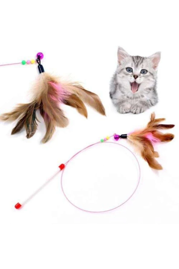 Paws Kedi Oltası 1186 - Resim 2