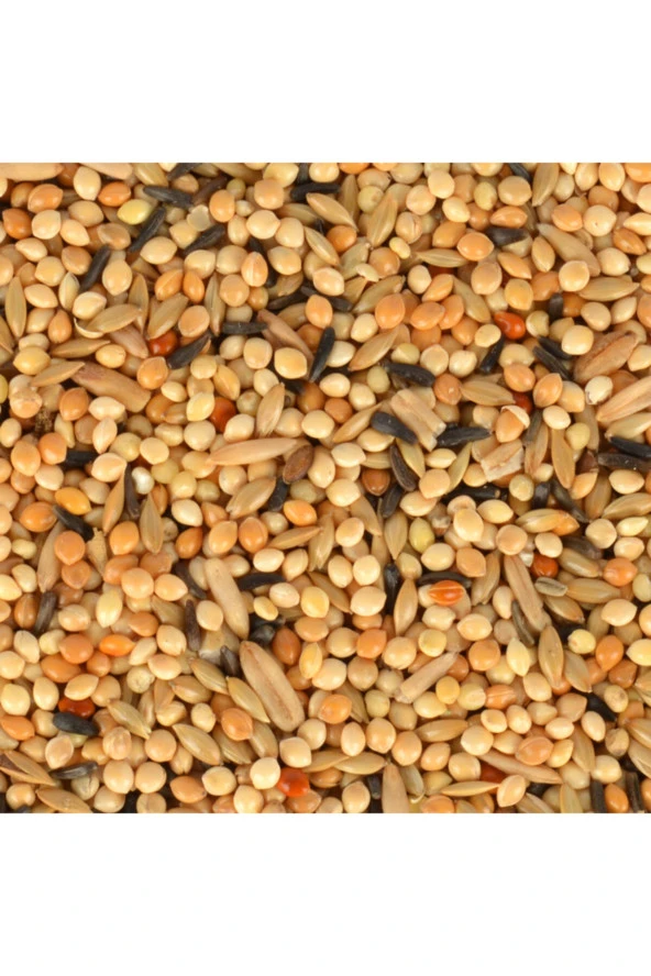 Volmin Petshop Yavru Yemi 400 Gr - 3
