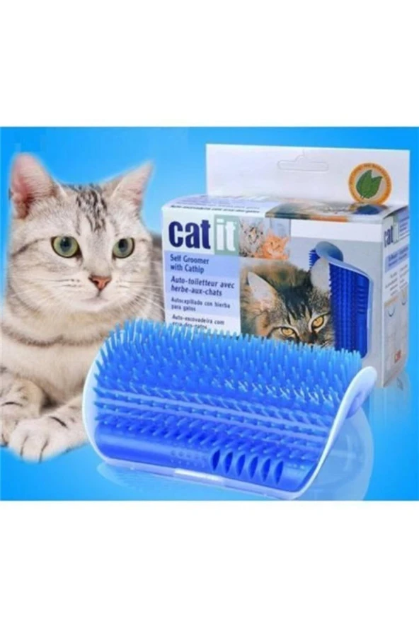 Kedi Kaşıma Catit