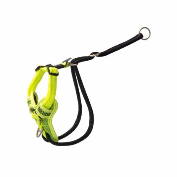 Rogz Utility Stop Pull Tuig XL Geel