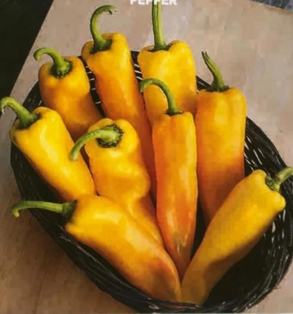 Yerli Ata Tohumu Sarı Kapya Biber 25 Adet ürün görseli 1