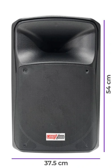 Lastvoice Lx-10yn Profesyonel Kabin Hoparlör 10'' 450 Watt - Resim 4