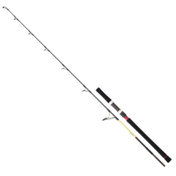 Daiwa Grandwave 1.68m 100-300gr 1+1 Tetikli Jig Olta Kamışı ürün görseli
