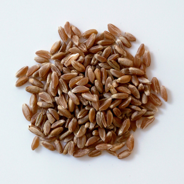 Kappadokia, Atalık Kızılbuğday (Dinkel) Unu - 6x1 Kg - 2
