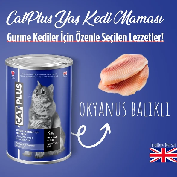 CatPlus Pate İçinde Et Parçacıklı Okyanus Balıklı Yetişkin Kedi Konserve Yaş Mama 395 Gr x 6 Adet - 2
