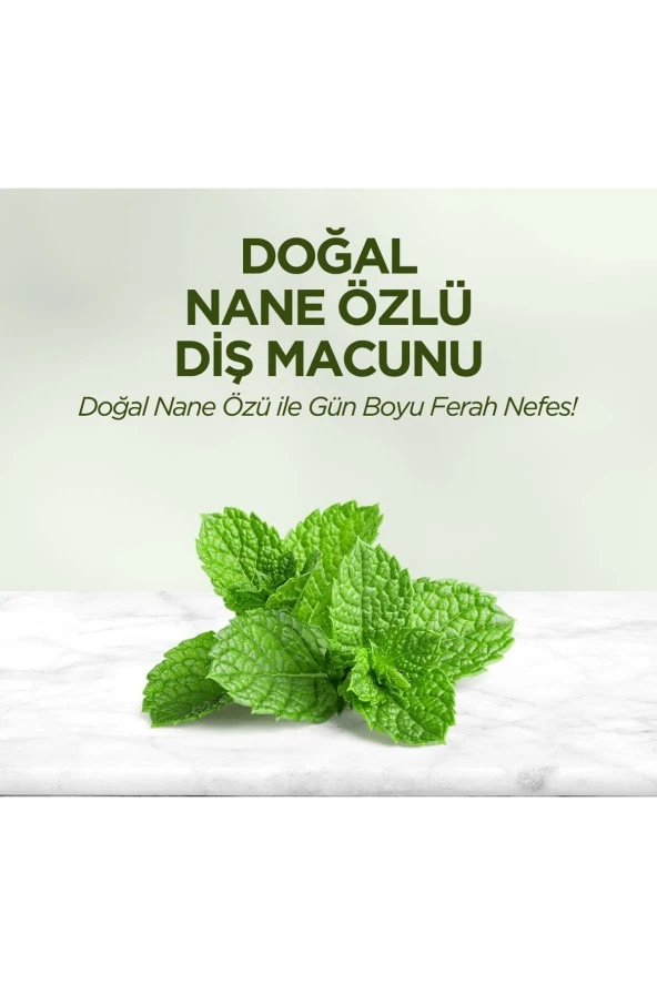 Eyup Sabrı Tuncer Doğal Nane Özlü Diş Macunu 90 Ml - 2