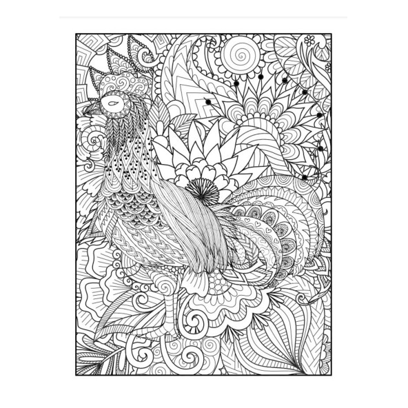 Büyülü Mandala Boyama Kitabı (Herkes İçin) - 2