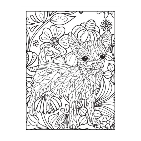 Büyülü Mandala Boyama Kitabı (Herkes İçin) - 5