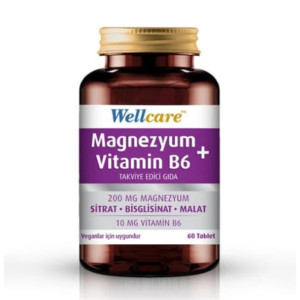 Wellcare Magnezyum + Vitamin B6 60 Tablet