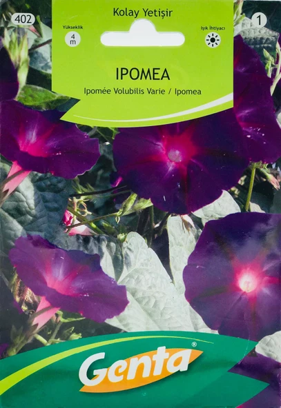 GENTA IPOMEA TOHUMU