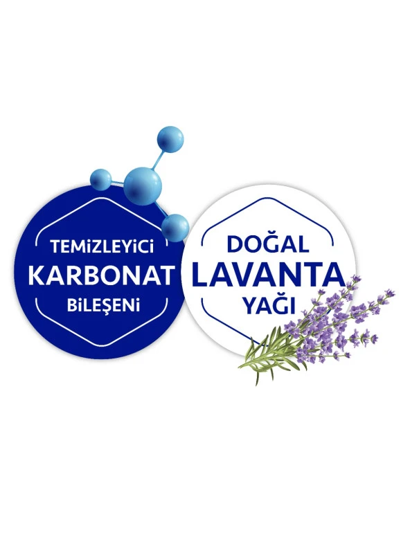 Clearmotion Yüzey Temizlik Havlusu (2x100) 200 Yaprak - 4