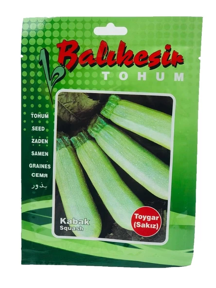 BALIKESİR TOHUMCULUK KABAK TOHUMU TOYGAR SAKIZ (10 GR)