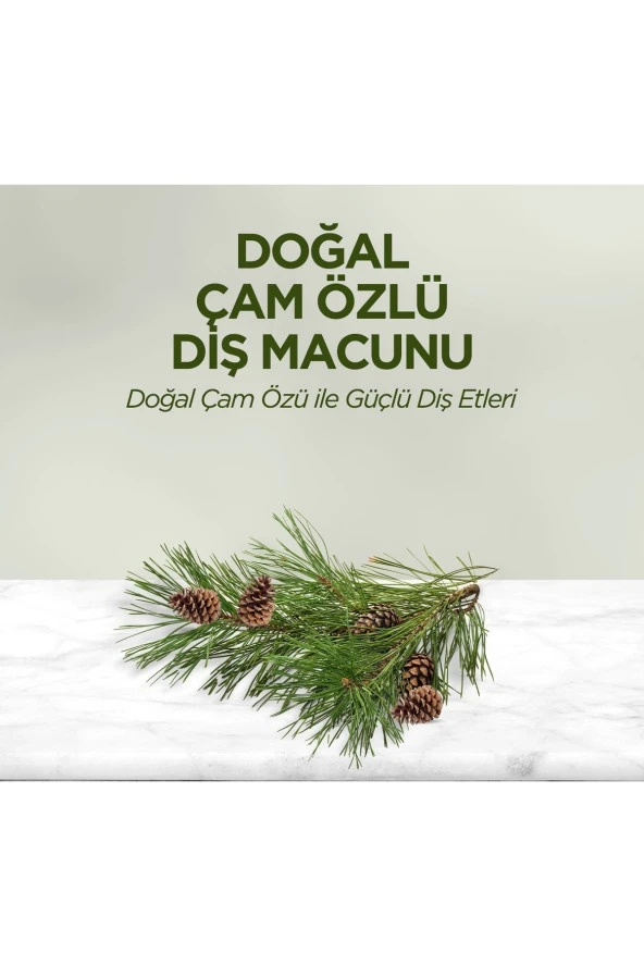 Eyup Sabrı Tuncer Doğal Cam Özlü Diş Macunu 90 Ml - 2