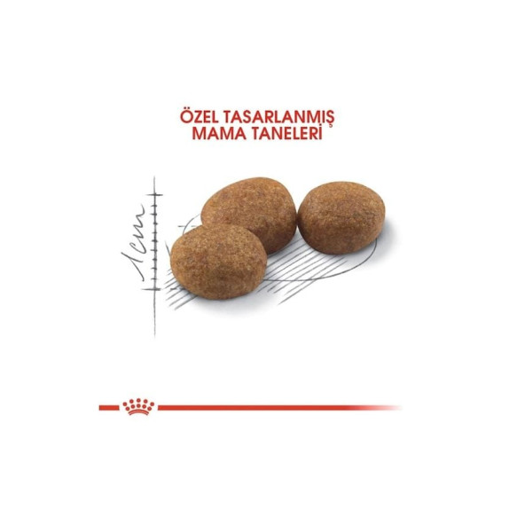 Royal Canin Sterilised 37 Kısırlaştırılmış Yetişkin Kedi Maması 4 Kg - 2